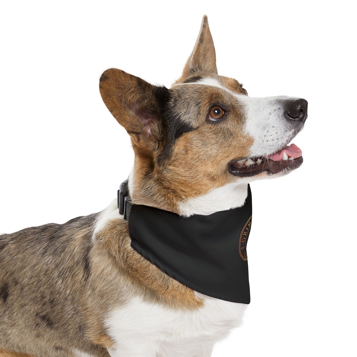 Pet Bandana Collar